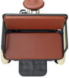 sixthreezero Simple Step Thru Fat Tire Electric Trike Rear Seat