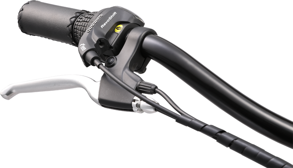 The Throttle
