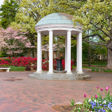 UNC Bike Riding, Chapel Hill Edition: Nothing Could Be Finer