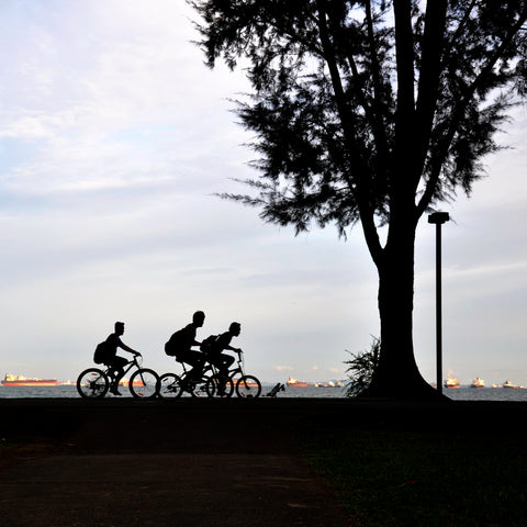 Fall Bike Rides In Chicago