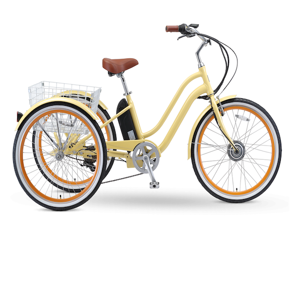 Electric Bike Buying Guide 2021