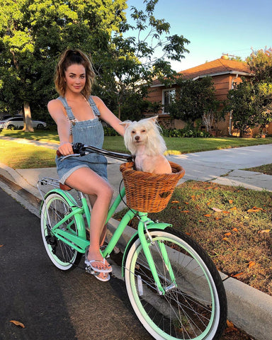 How To Take Your Dog Bike Riding With A Leash