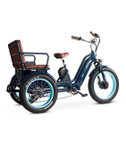 EVRYjourney EBike Rickshaw Dual 750w, Max 1500w, Dual Battery, Total 42ah