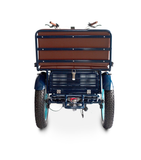 EVRYjourney EBike Rickshaw Dual 750w, Max 1500w, Dual Battery, Total 42ah