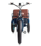 EVRYjourney EBike Rickshaw Dual 750w, Max 1500w, Dual Battery, Total 42ah