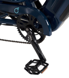 EVRYjourney EBike Rickshaw Dual 750w, Max 1500w, Dual Battery, Total 42ah