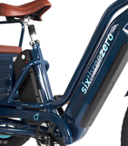 EVRYjourney EBike Rickshaw Dual 750w, Max 1500w, Dual Battery, Total 42ah