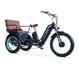EVRYjourney EBike Rickshaw Dual 750w, Max 1500w, Dual Battery, Total 42ah
