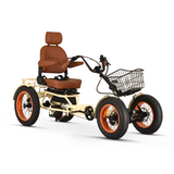 ANYterrain 4 Wheel 750w Recumbent EBike