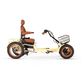 ANYterrain 4 Wheel 750w Recumbent EBike