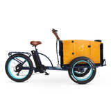 EVRYjourney Family Cargo ETrike 750w