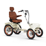 Simple Glide 4 Wheel 750w EBike