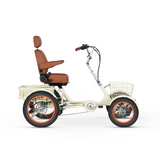 Simple Glide 4 Wheel 750w EBike