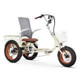 Simple Glide Laid Back 750w Recumbent ETrike