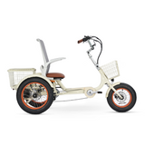 Simple Glide Laid Back 750w Recumbent ETrike