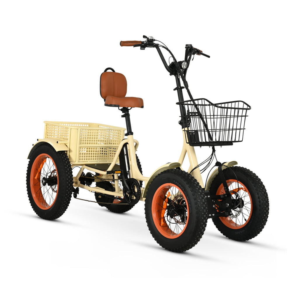 ANYterrain Stabilized 4 Wheel EBike Open Box Return