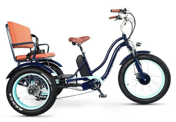 EVRYjourney Electric Tricycle Rickshaw 750W 2025 Open Box Return