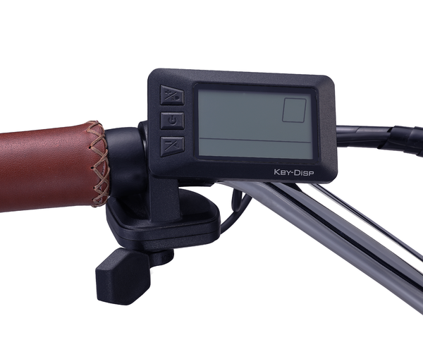 KD-21C (Fat Tire, Simple Step-Thru 500W)