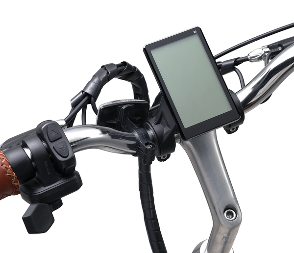 DISPLAY Maya/Body Ease/Ride in the Park/Reach your Destination/Pave n Trail ebikes: (LINGHUI M5)