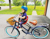 Instagram Gallery View Additional