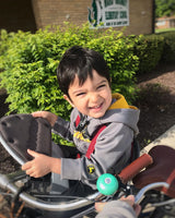 Instagram Gallery View Additional