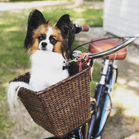 Instagram Gallery View Additional