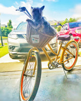 Instagram Gallery View Additional